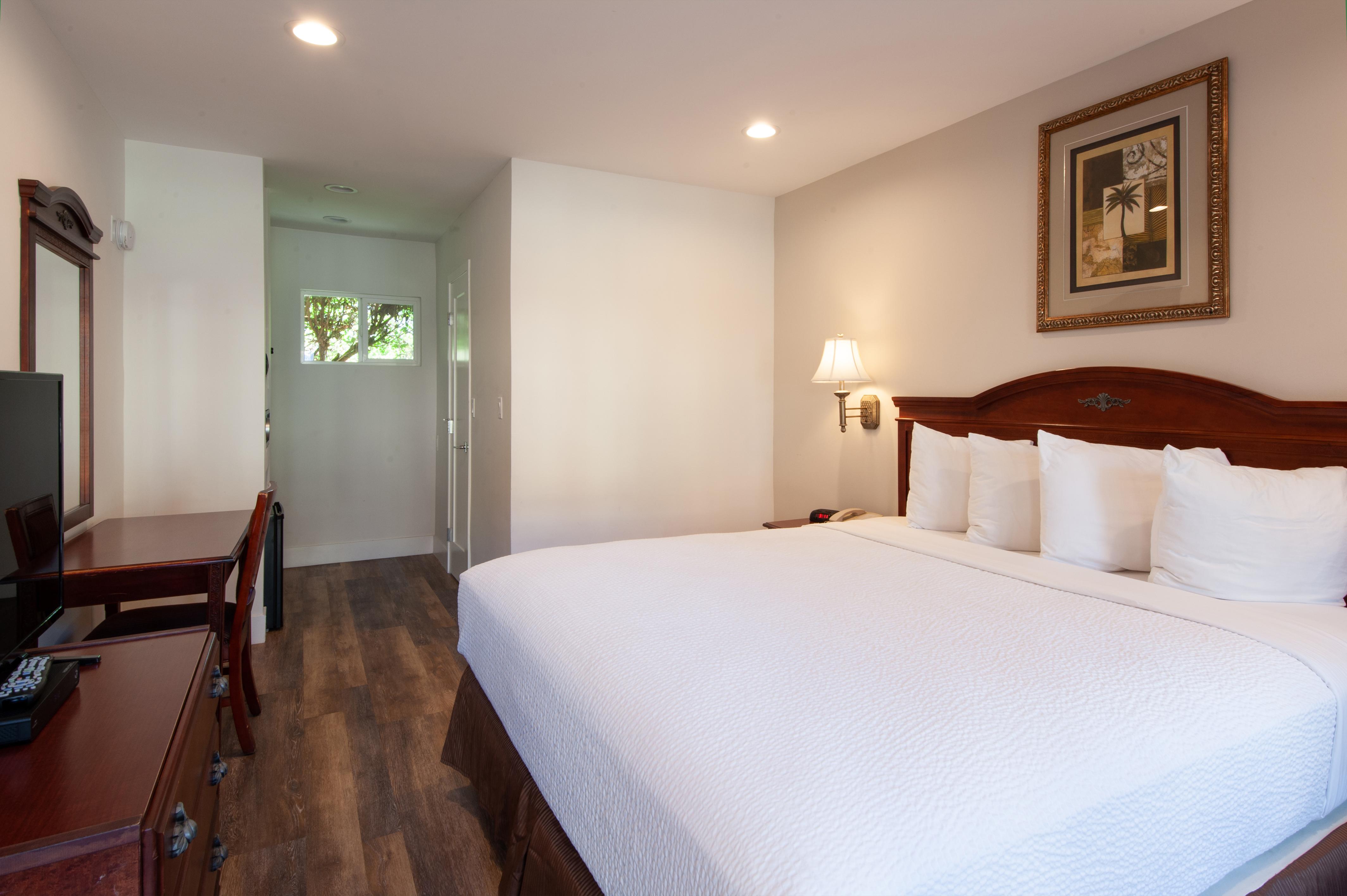 Studio City Court Yard Hotel Rum bild