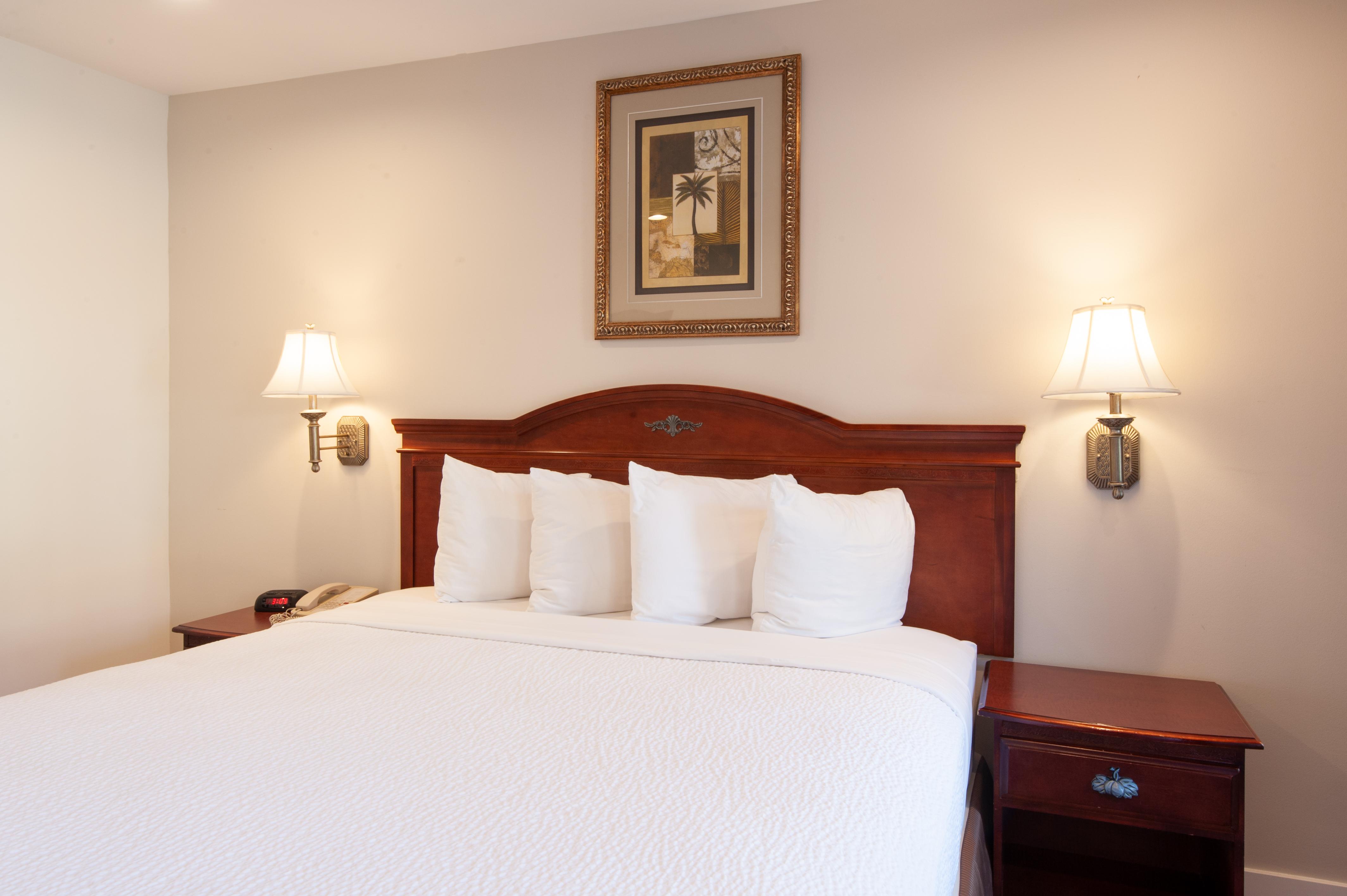 Studio City Court Yard Hotel Rum bild