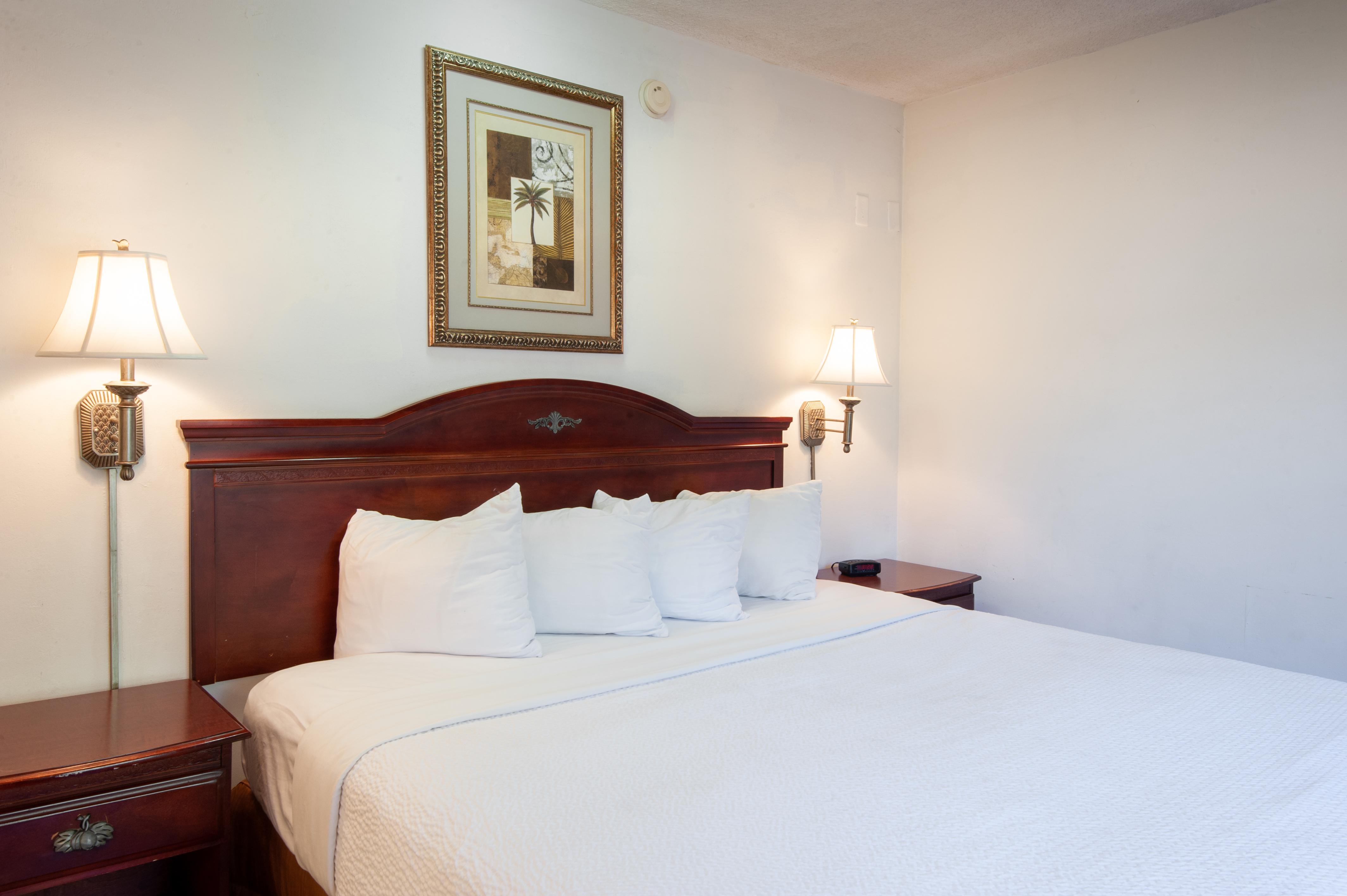 Studio City Court Yard Hotel Rum bild